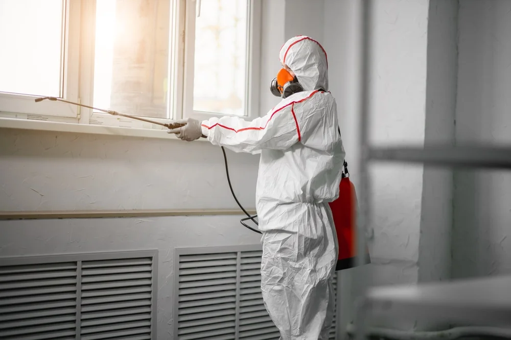 Professional mold remediation services in Winthrop, MN